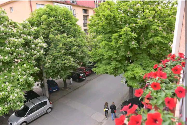 Milica Apartments Скоп'є Екстер'єр фото