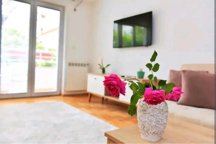 Milica Apartments Скоп'є Екстер'єр фото